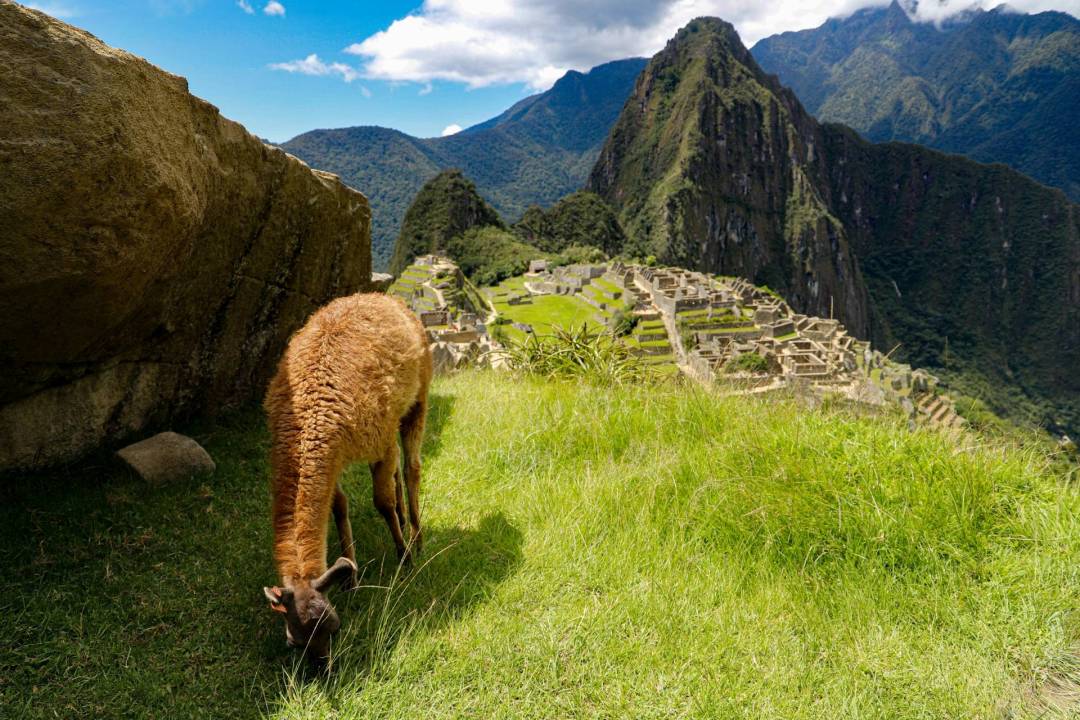 Turistas mexicanos en Machu Picchu