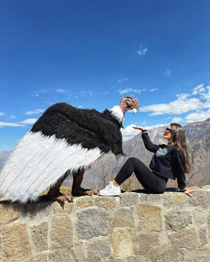 Tour Cañon del Colca