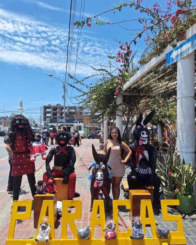 Paracas Tour