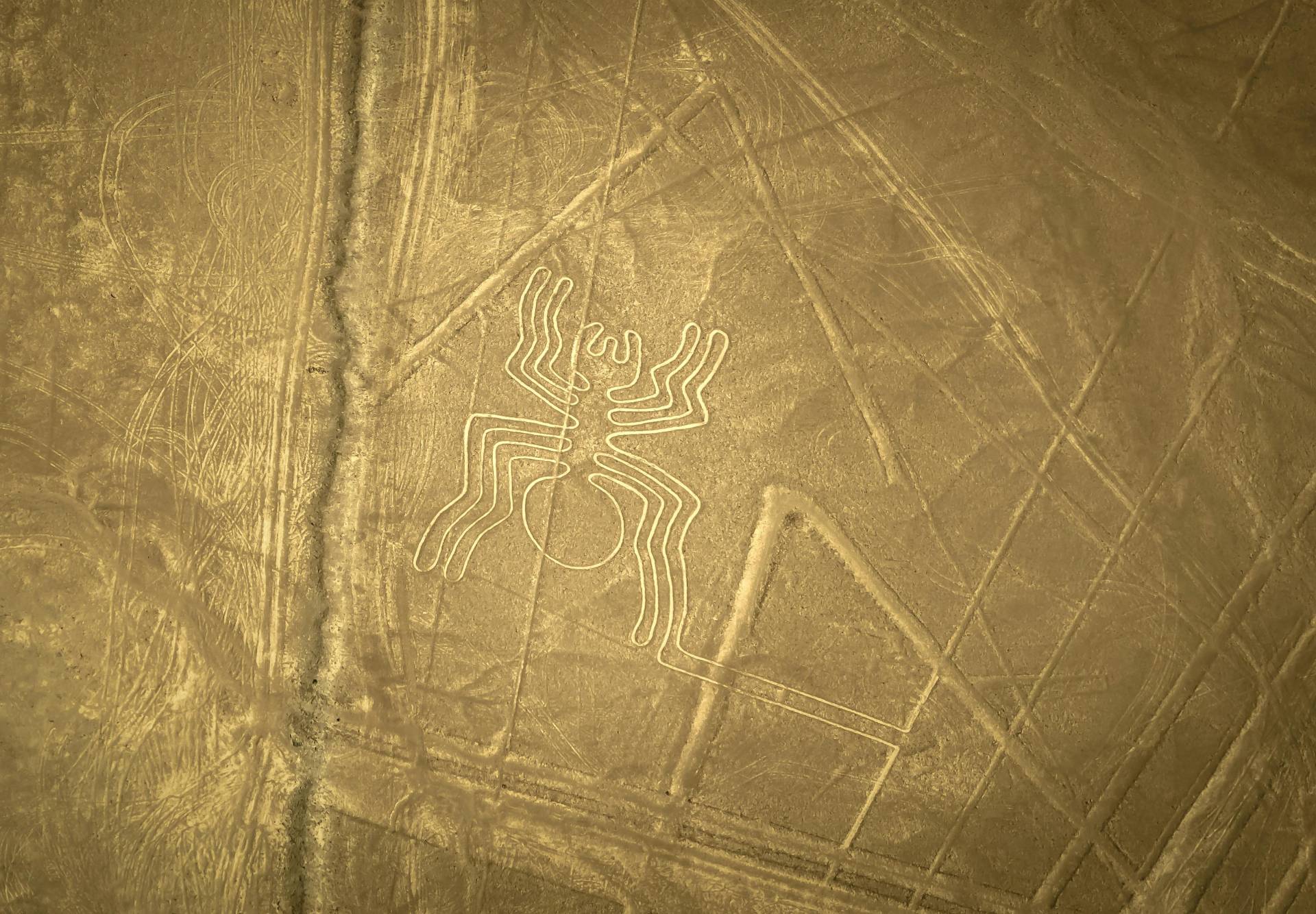 Full Day Paracas Sobrevuelo Lineas de Nazca